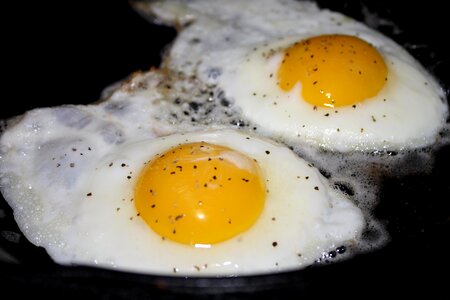 Beautiful Photo diet egg