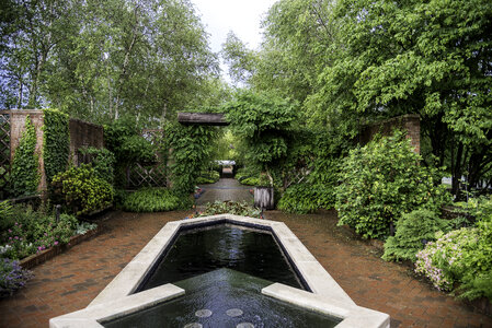 Pools and trees at the Chicago Botanical Gardens photo