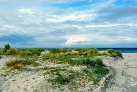 Beach dune cloudiness photo