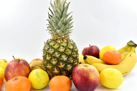 Apple fresh fruit