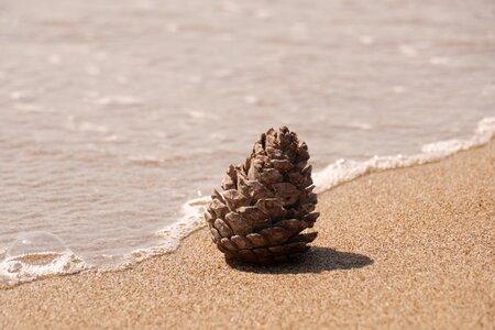 Beach sand water
