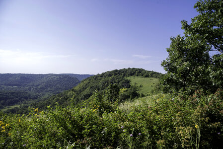 View from King's Bluff at Great River Bluffs State Park