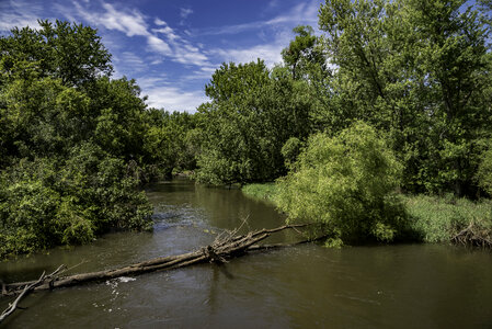 Fallen Tree Across the River on Sugar River State Trail