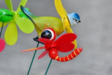 Bird dragonfly plastic