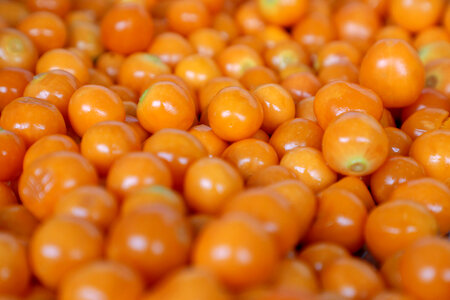 Cherry tomato