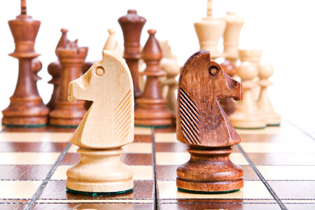 Wooden Chess Pieces photo