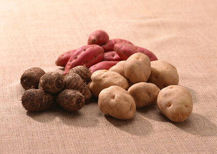 Pile of potatoes on burlap sack background photo