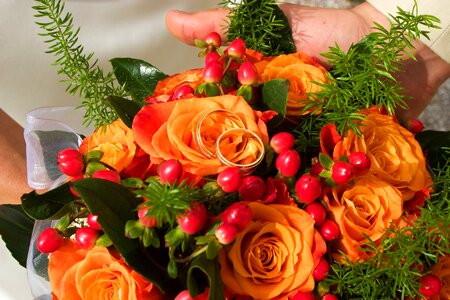 Roses orange ring