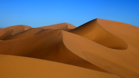 Sand dune desert landscape gobi photo