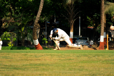 Cricket Batting Sports photo