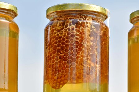 Honey honeycomb jar photo