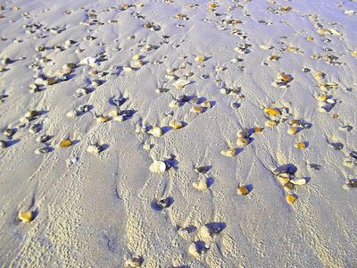 Stones sand denmark