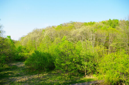 11 Hiraokakoen