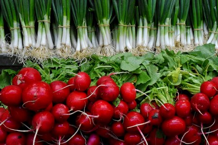 Root food radish