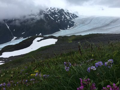 Amazing view of landscape mountain in Alaska