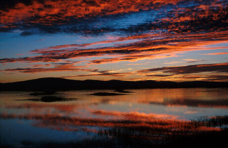 Lower Klamath National Wildlife Refuge-1