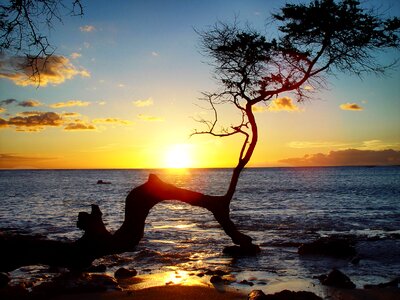 Hawaii sunset ocean photo