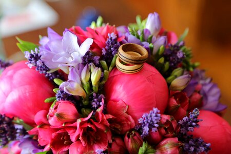 Wooden wedding ring tulips photo