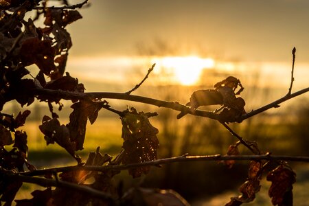 Nature mood morgenstimmung photo