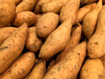 Market farming vegetable photo