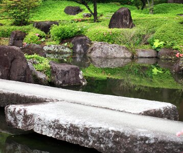 Garden grass landscape photo