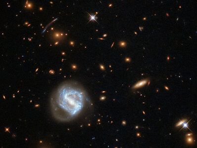 Galaxy Cluster Cornucopia photo