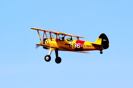 Yellow fly pilot photo