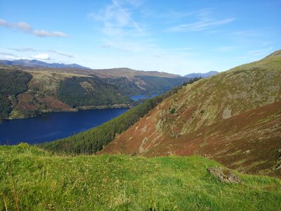 Conifers hills scenic photo