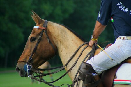 Rider man sports