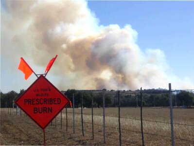 Burn shield 