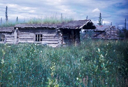 Cabin trapper 