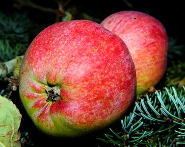 Vitamins food fresh