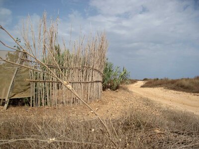 Agriculture field landscape