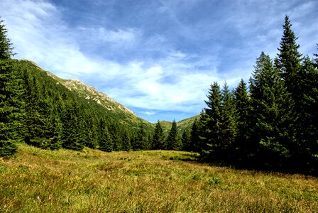 Top view mountains view photo