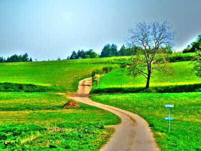 Meadows green grass photo