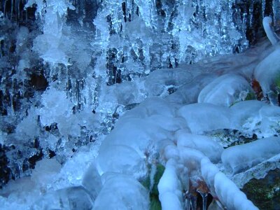 Cold crystal forest photo