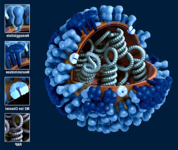 Depicting generic influenza