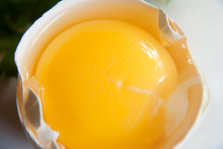 Egg Raw
