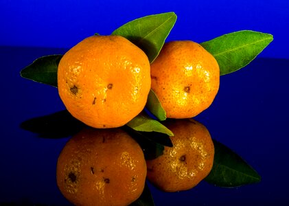 Mandarin fruit citrus fruit