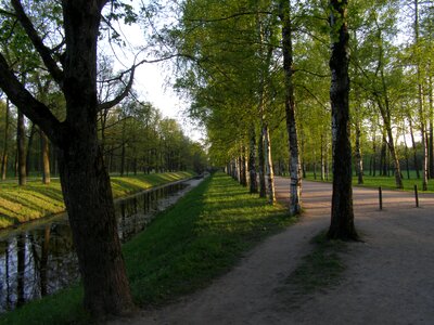 Spring park water channel photo