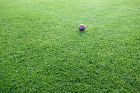 Football pitch sport rush photo