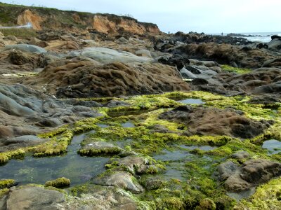 Nature california usa
