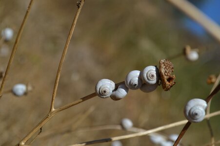 Nature dry drought