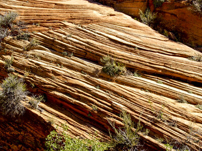 Rock Formations in Zion National Park, Utah photo
