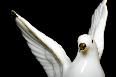 dove toy