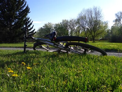 Grass parked cycle