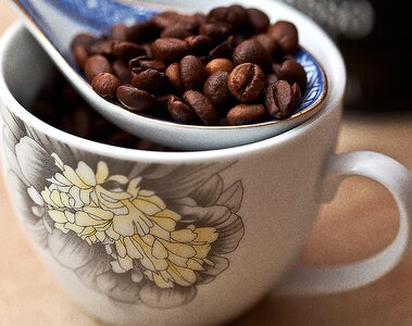 Roasted coffee the variety of coffee arabica