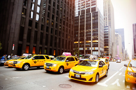 Yellow Cabs on the streets of New York City