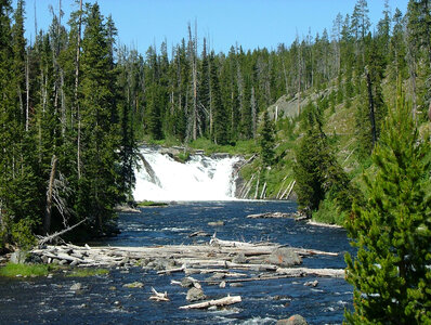 Lewis Falls in Yellowstone National Park, Wyoming photo