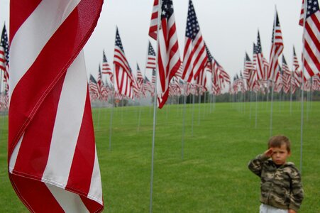United states patriotic salute